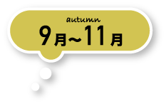 autumn 9月〜11月